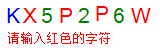 验证码