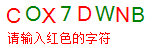 验证码